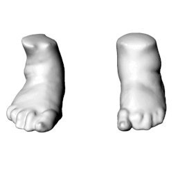 Case 29